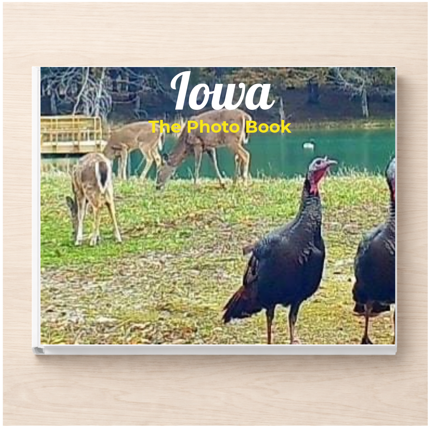 Iowa: The Photo Book