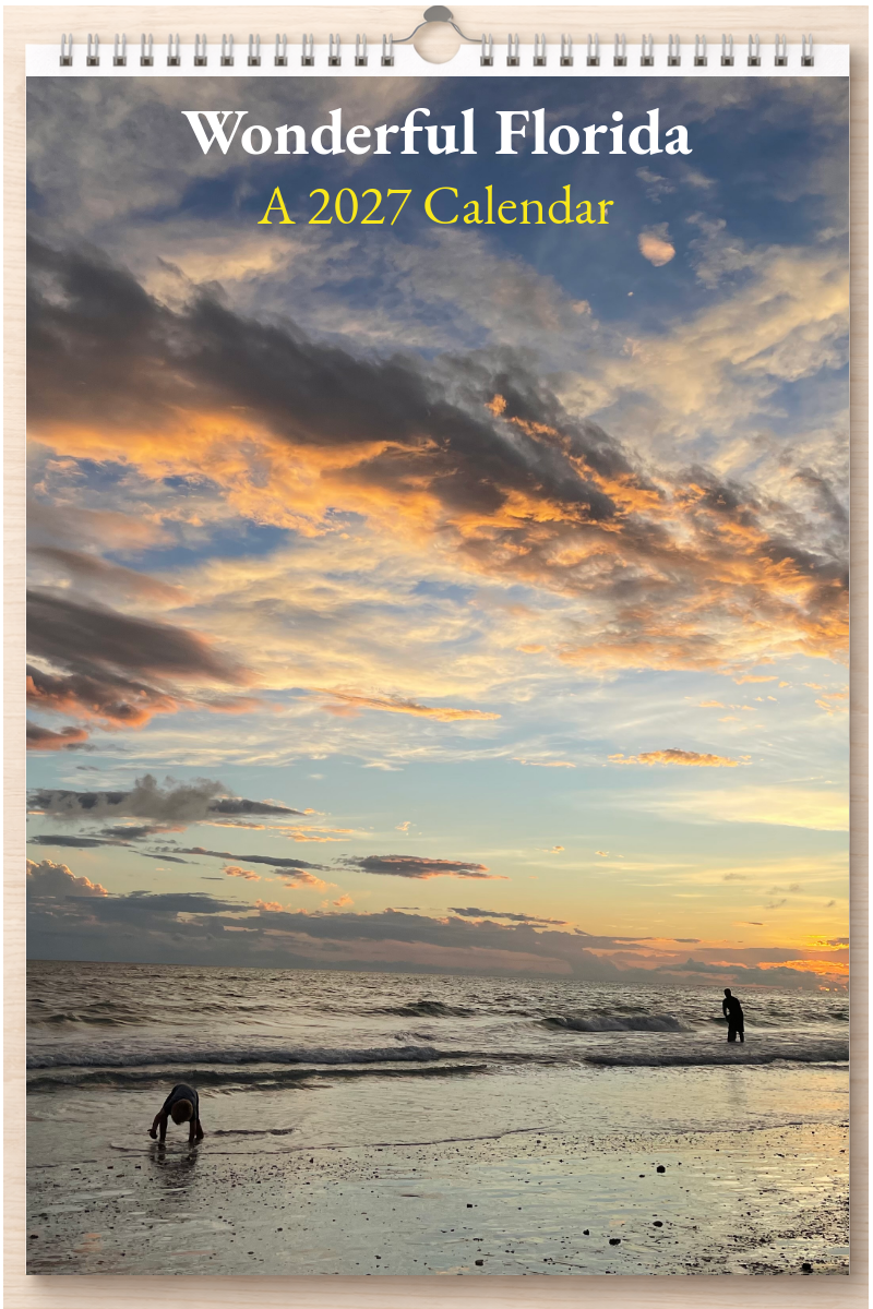 Wonderful Florida: A 2027 Calendar