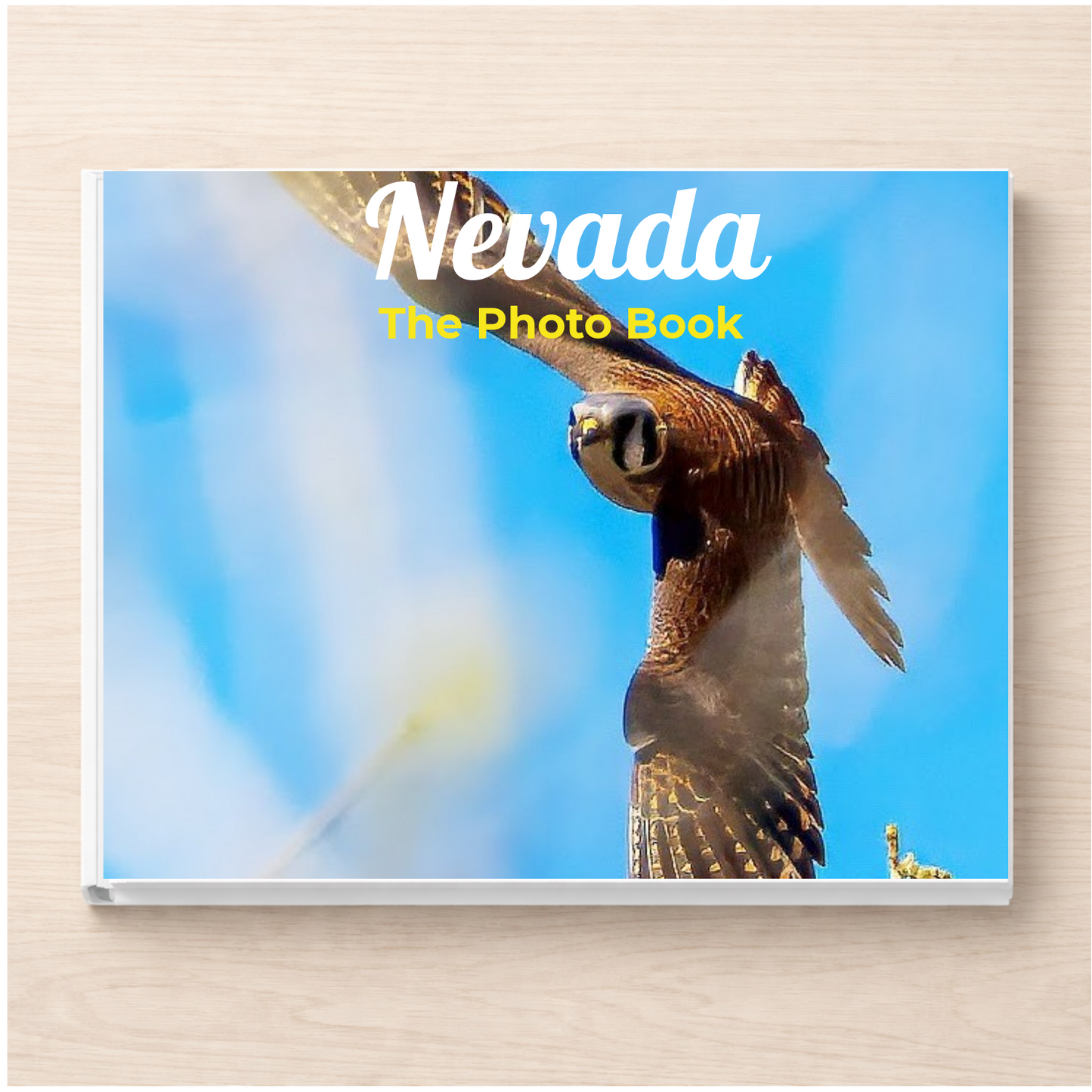 Nevada: The Photo Book