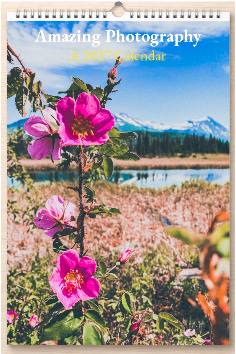 Amazing Photography: A 2027 Calendar