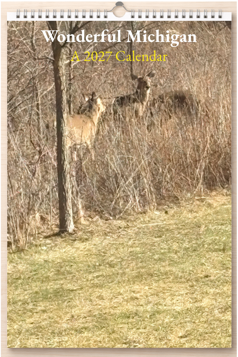 Wonderful Michigan: A 2027 Calendar