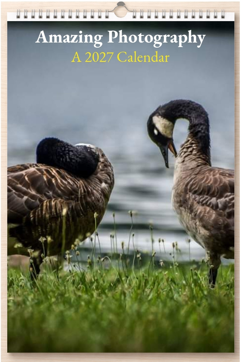 Amazing Photography: A 2027 Calendar