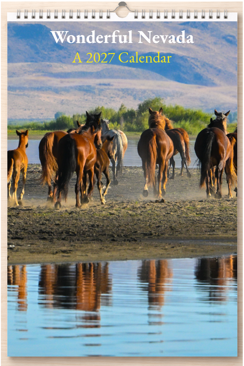 Wonderful Nevada: A 2027 Calendar