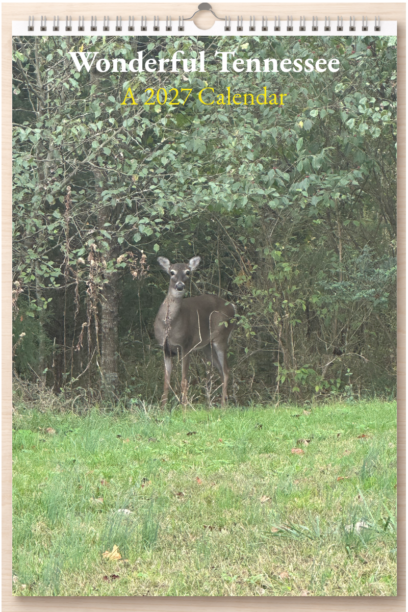 Wonderful Tennessee: A 2027 Calendar