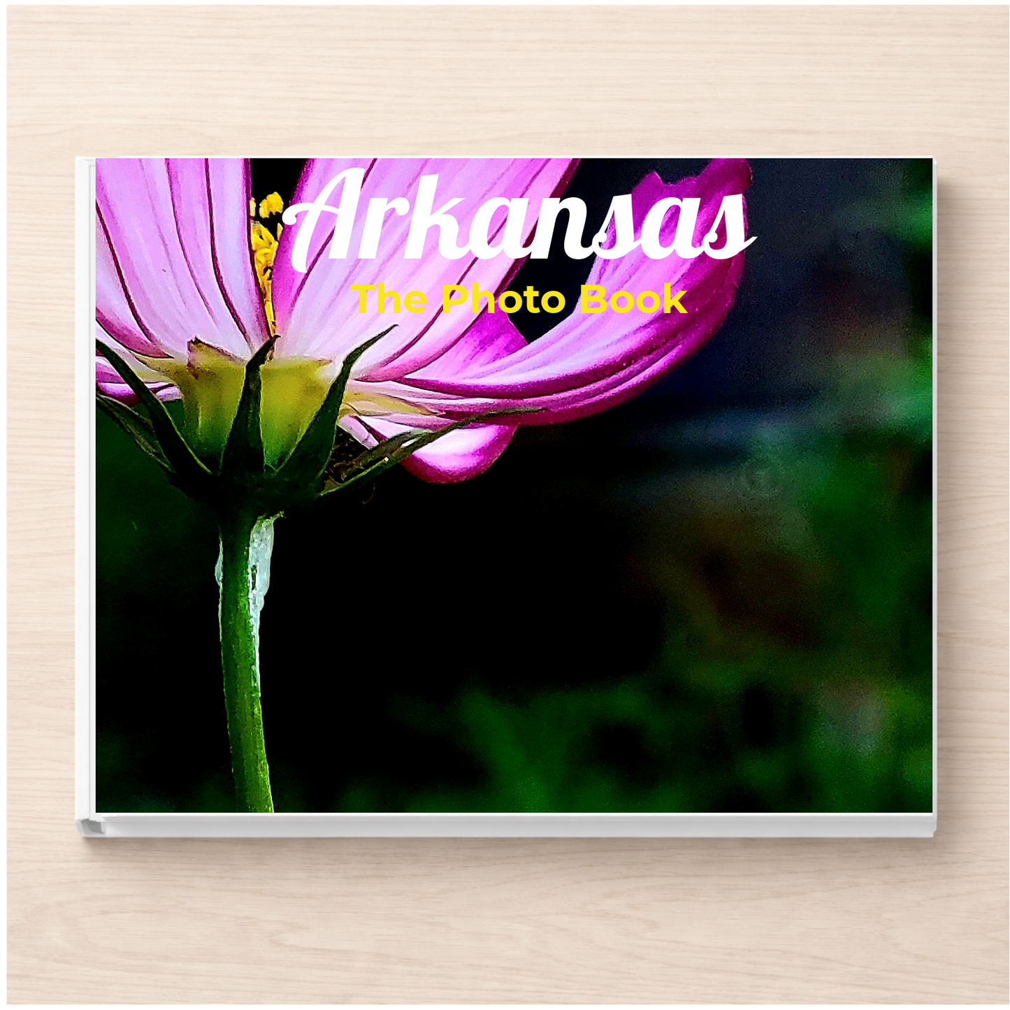 Arkansas: The Photo Book