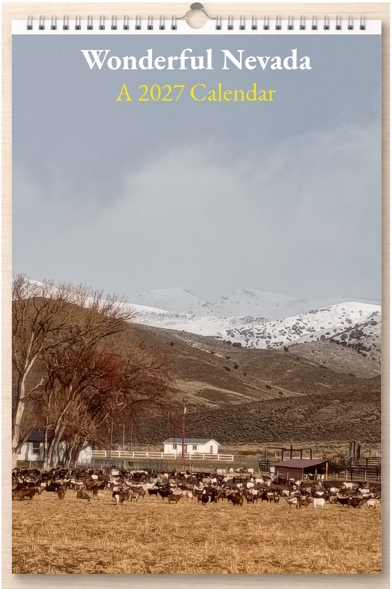 Wonderful Nevada: A 2027 Calendar