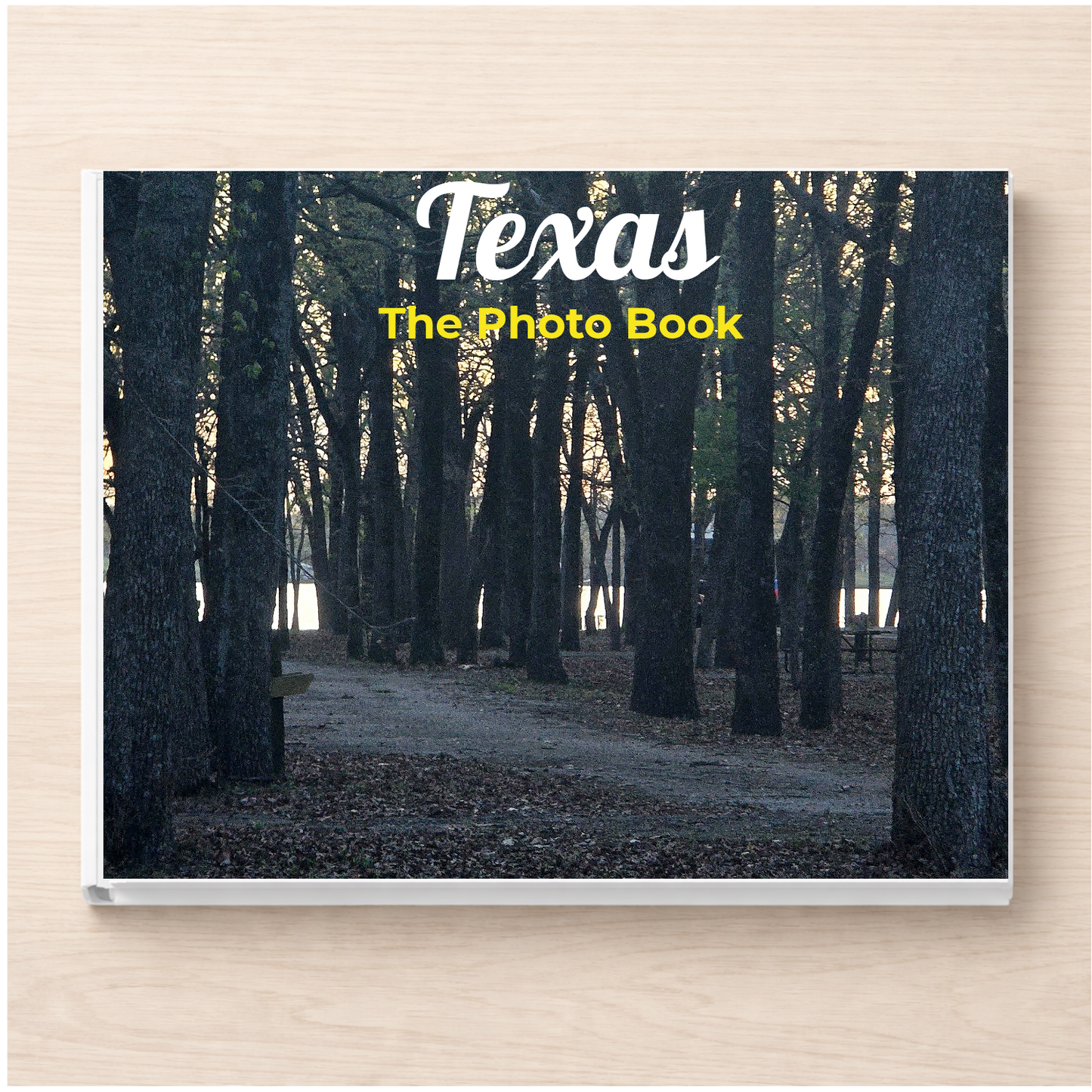 Texas: The Photo Book