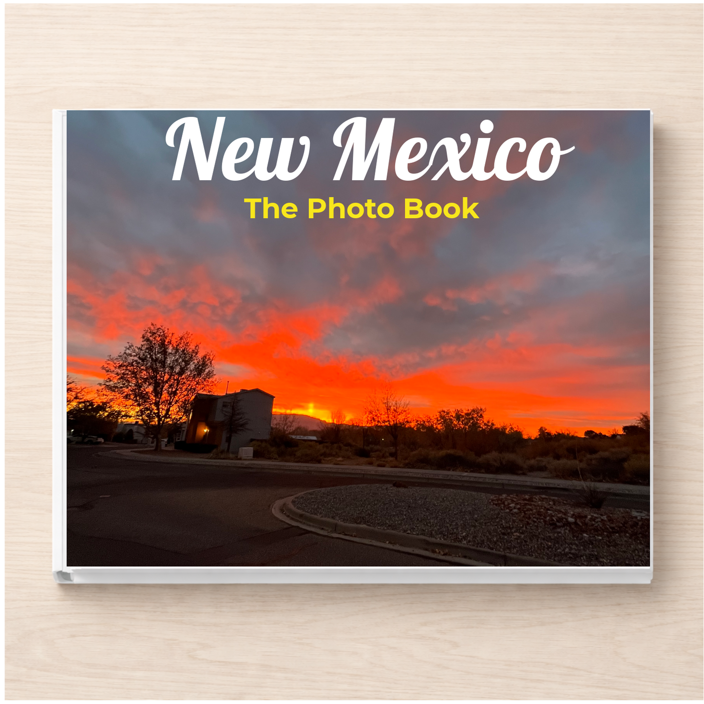 New Mexico: The Photo Book