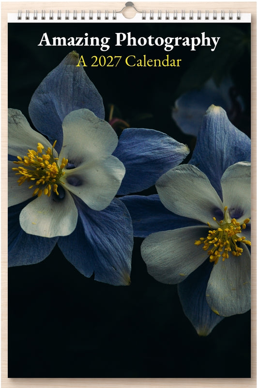 Amazing Photography: A 2027 Calendar
