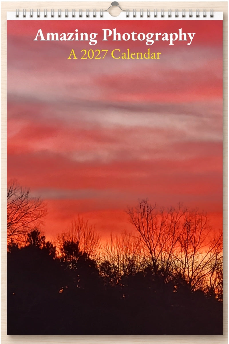 Amazing Photography: A 2027 Calendar