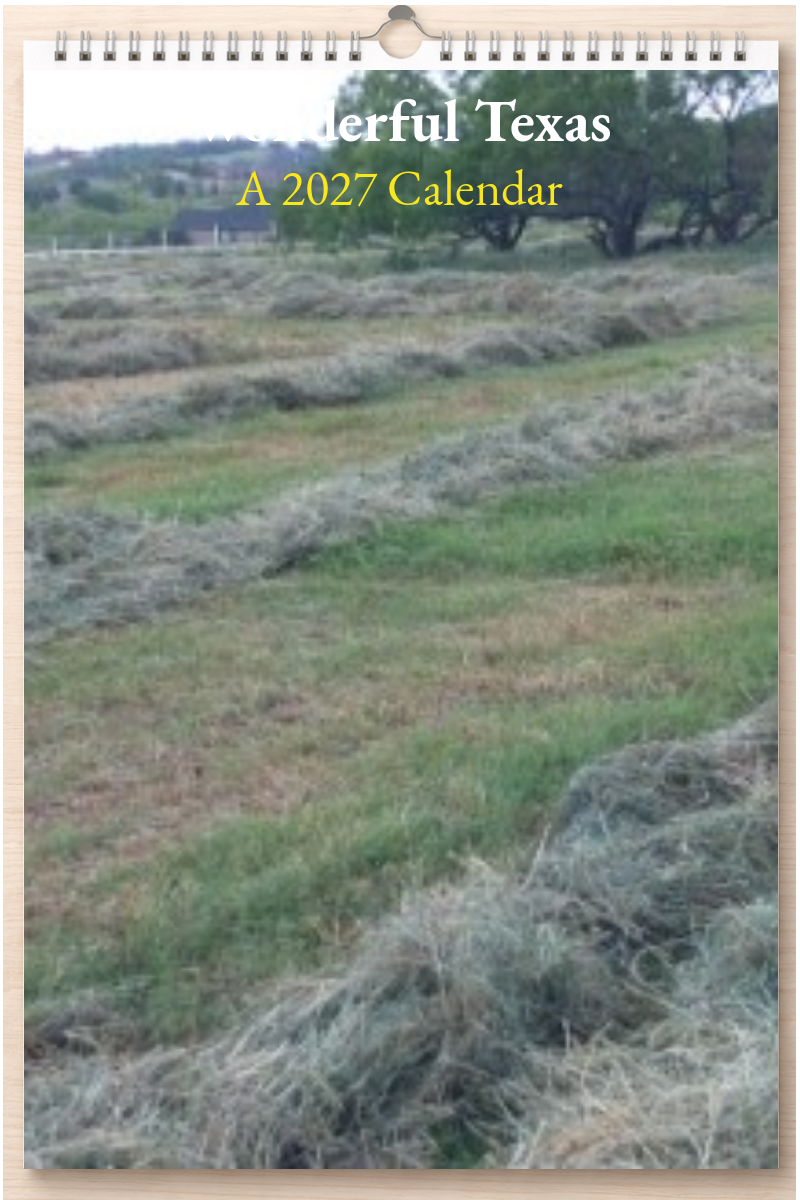 Wonderful Texas: A 2027 Calendar