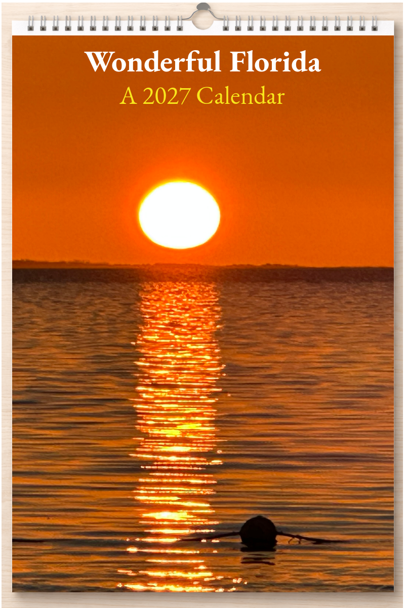 Wonderful Florida: A 2027 Calendar