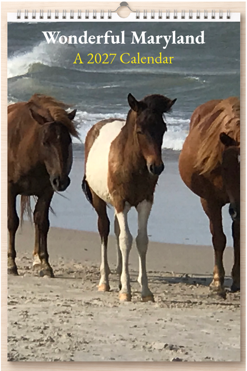 Wonderful Maryland: A 2027 Calendar