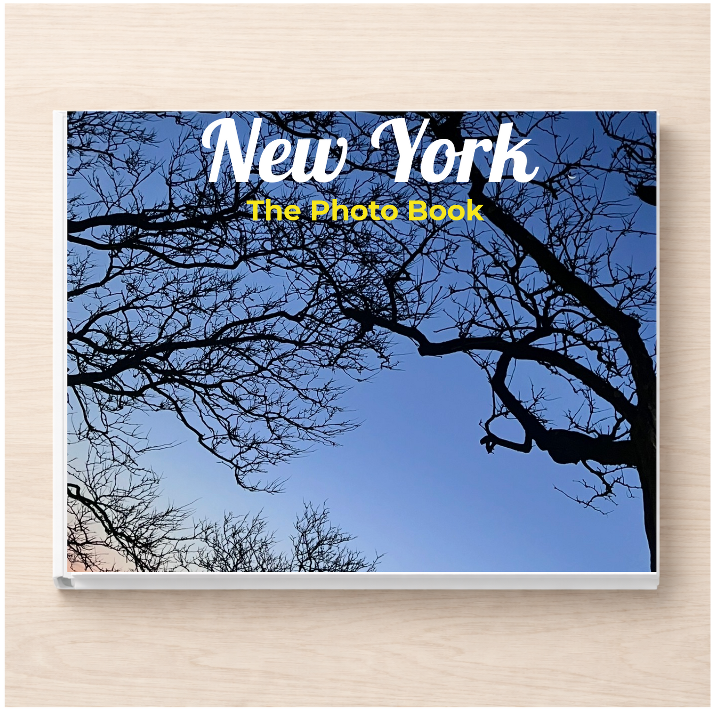 New York: The Photo Book