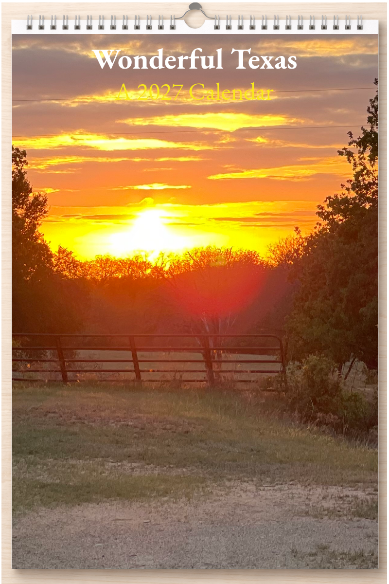Wonderful Texas: A 2027 Calendar