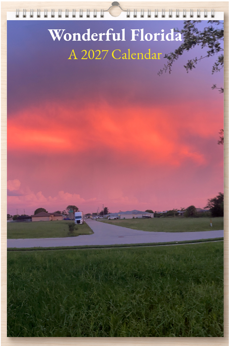 Wonderful Florida: A 2027 Calendar