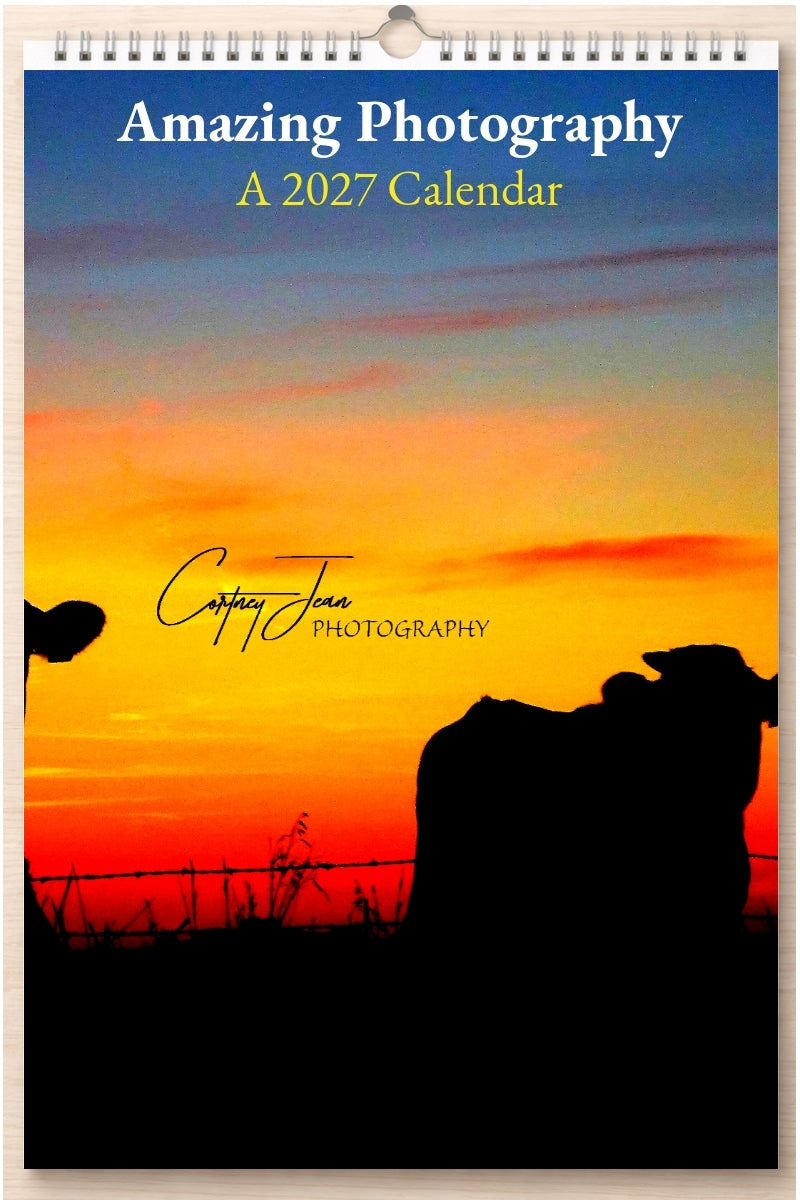 Amazing Photography: A 2027 Calendar