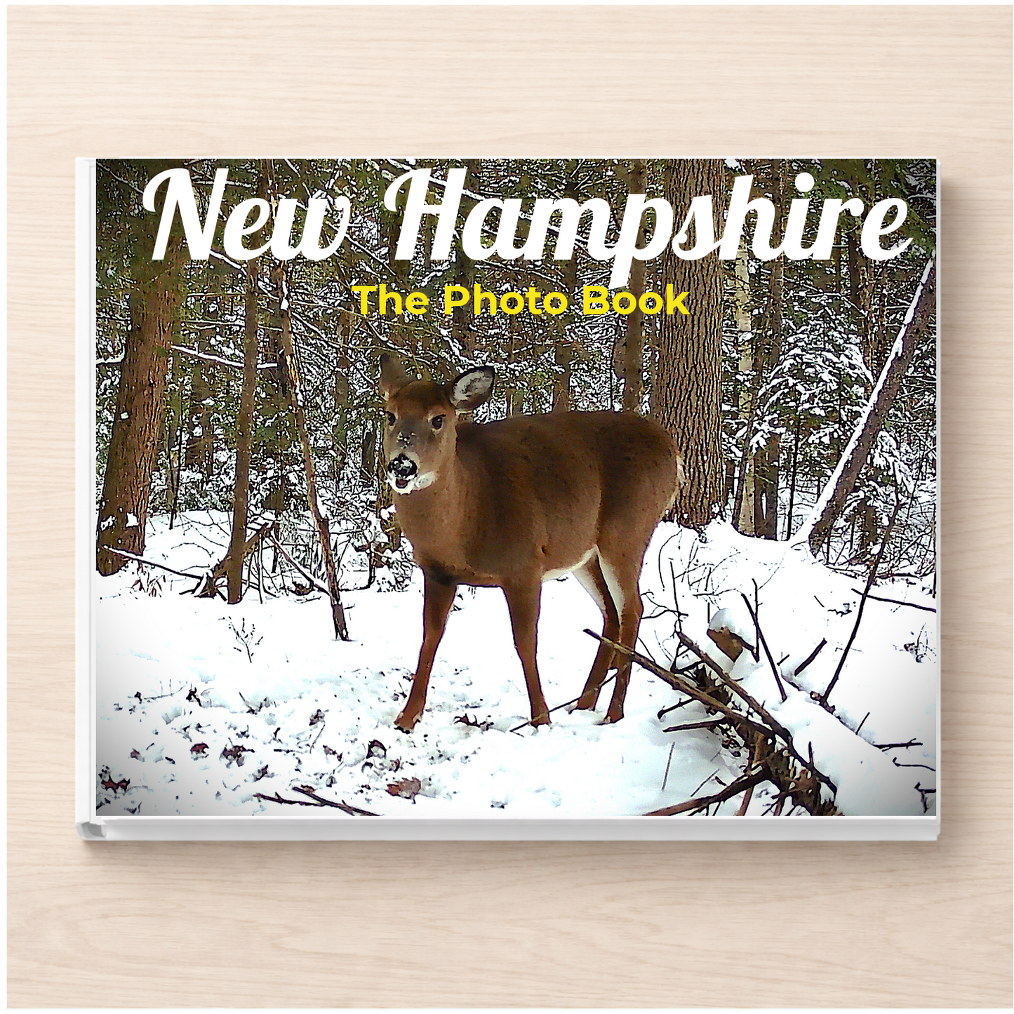 New Hampshire: The Photo Book