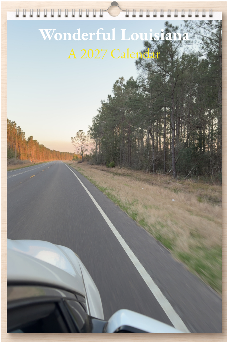 Wonderful Louisiana: A 2027 Calendar