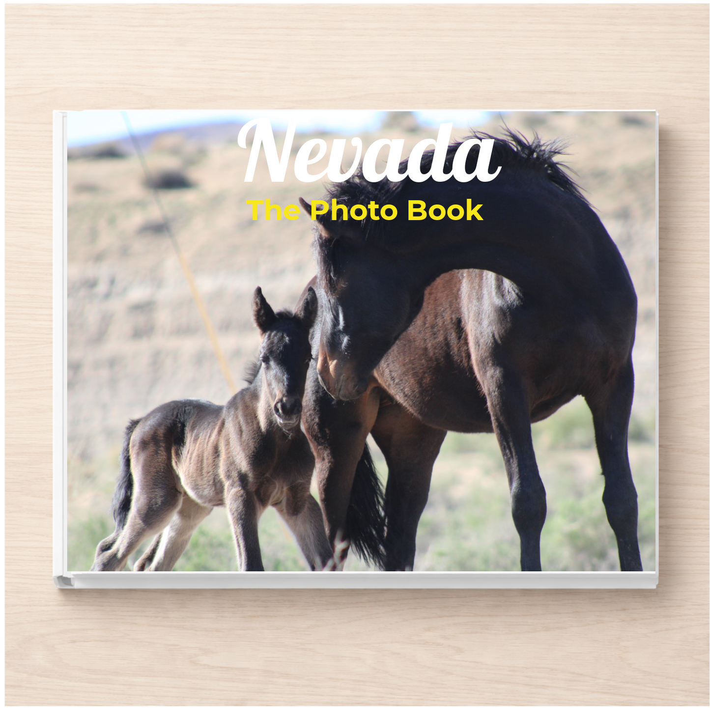 Nevada: The Photo Book