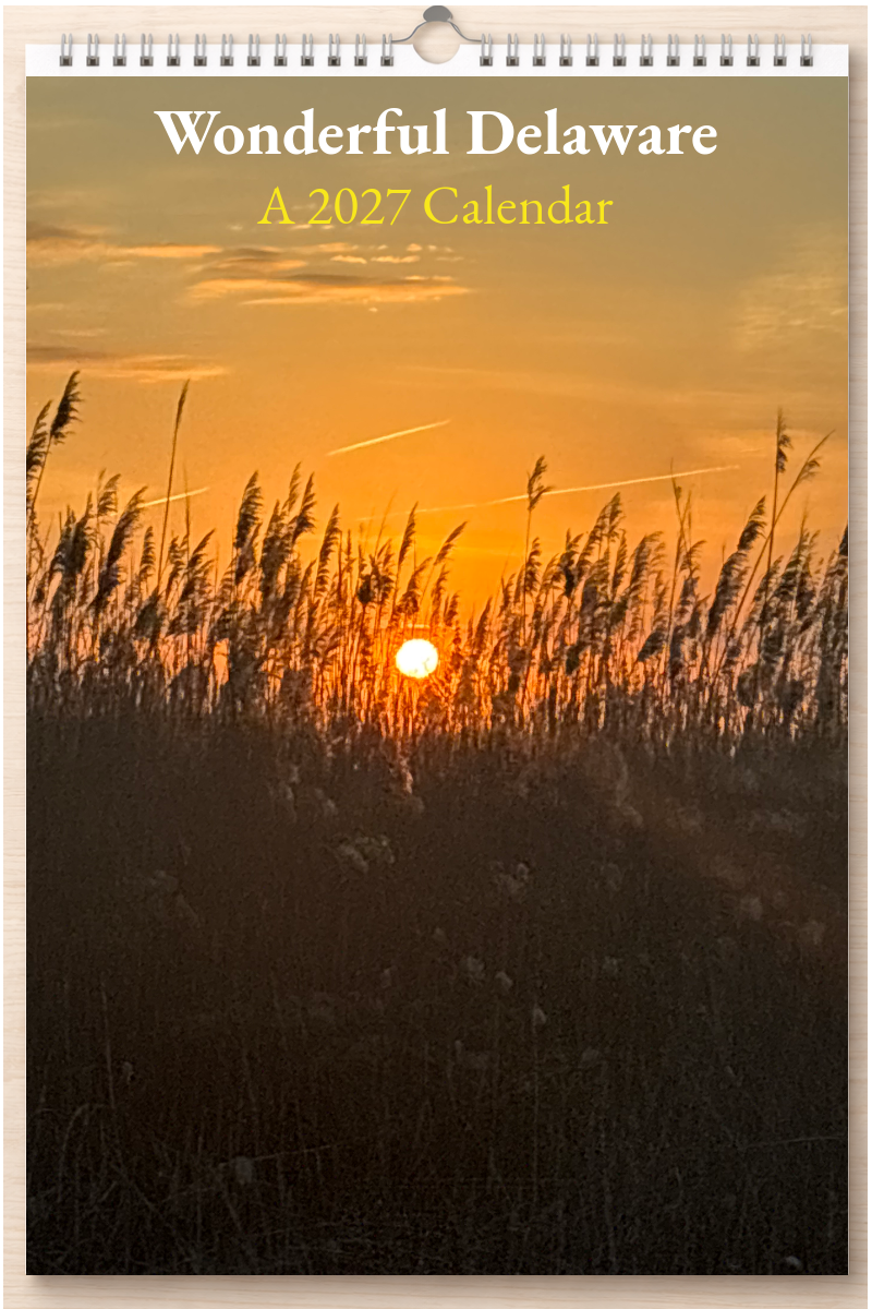 Wonderful Delaware: A 2027 Calendar