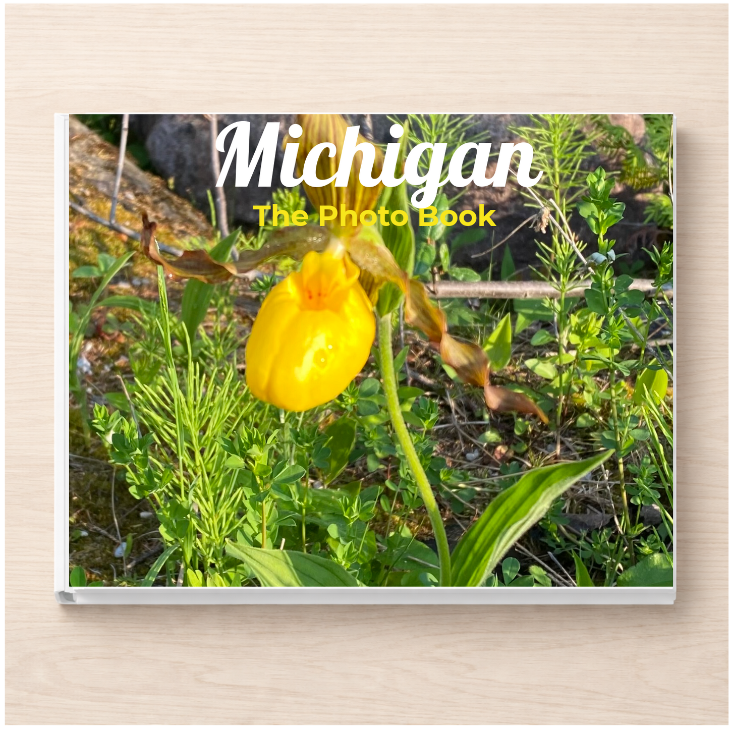 Michigan: The Photo Book