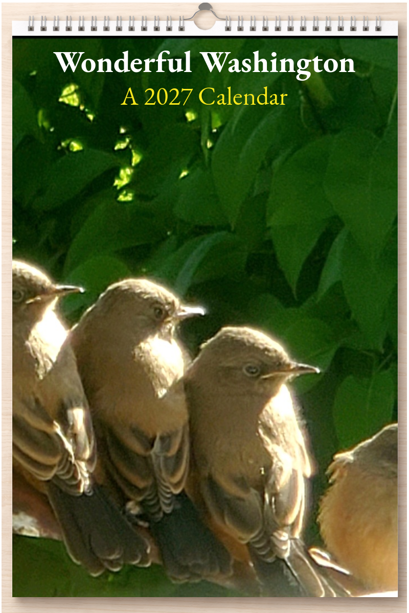 Wonderful Washington: A 2027 Calendar