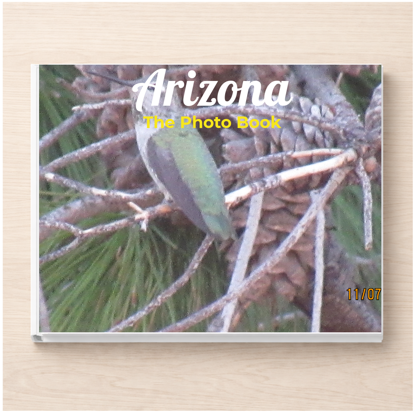 Arizona: The Photo Book