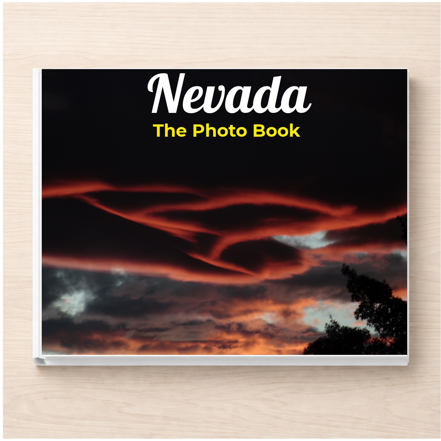 Nevada: The Photo Book