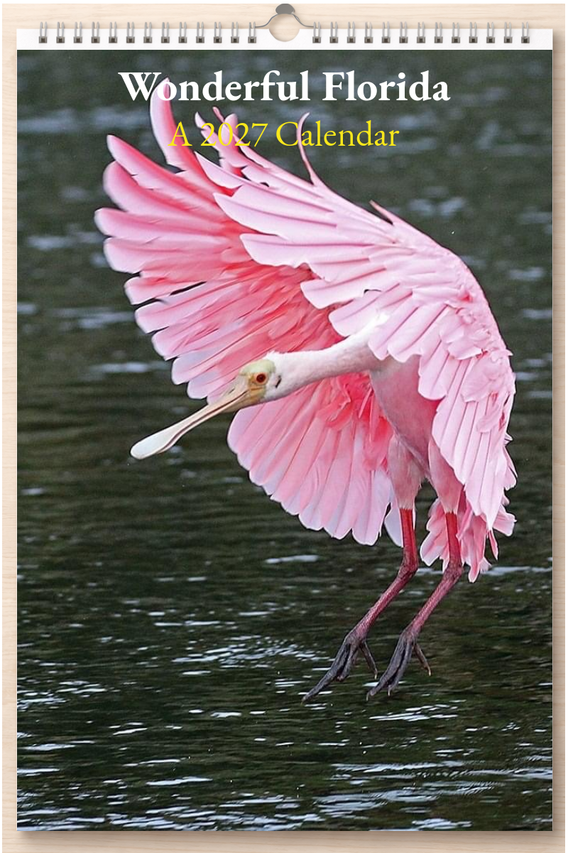 Wonderful Florida: A 2027 Calendar