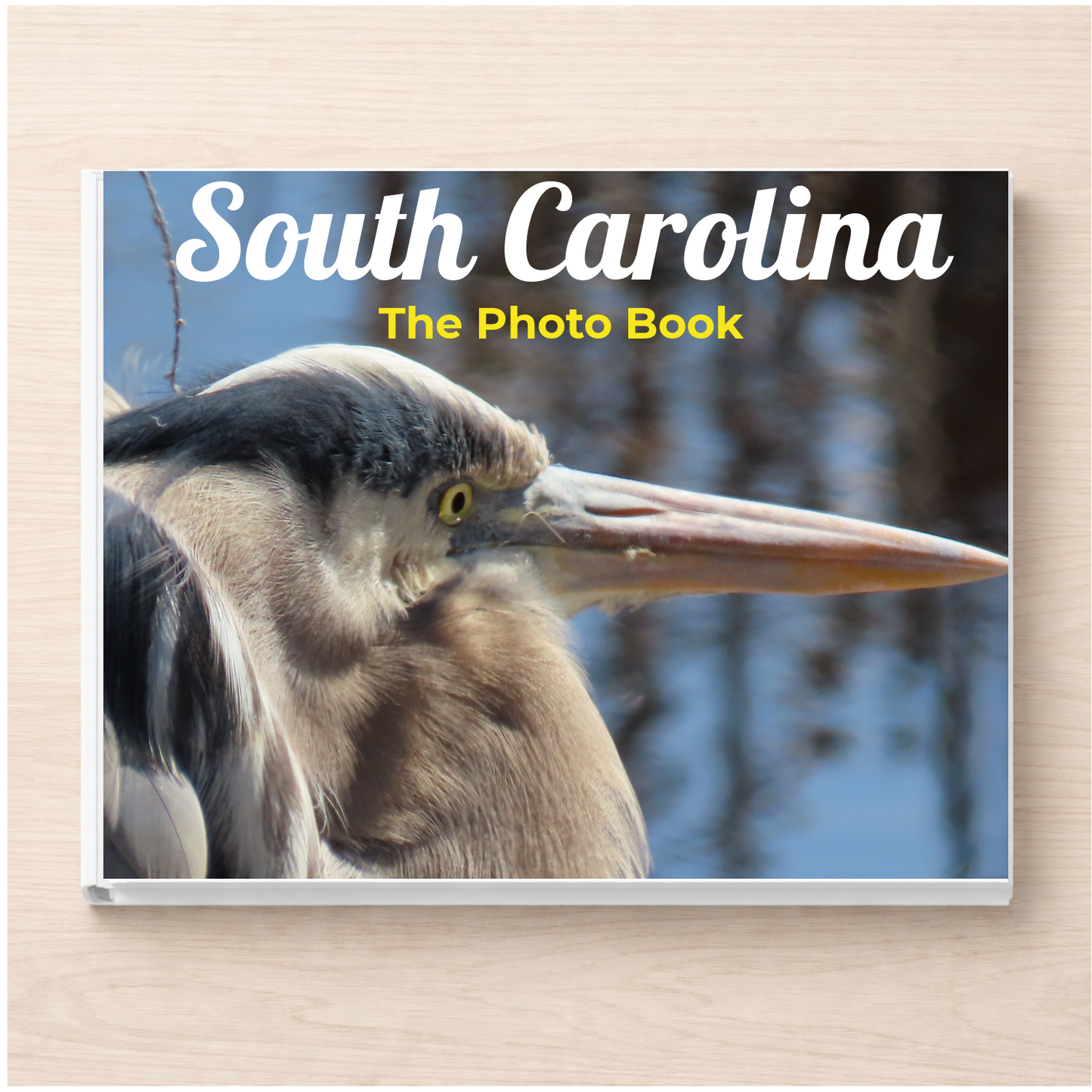 South Carolina: The Photo Book