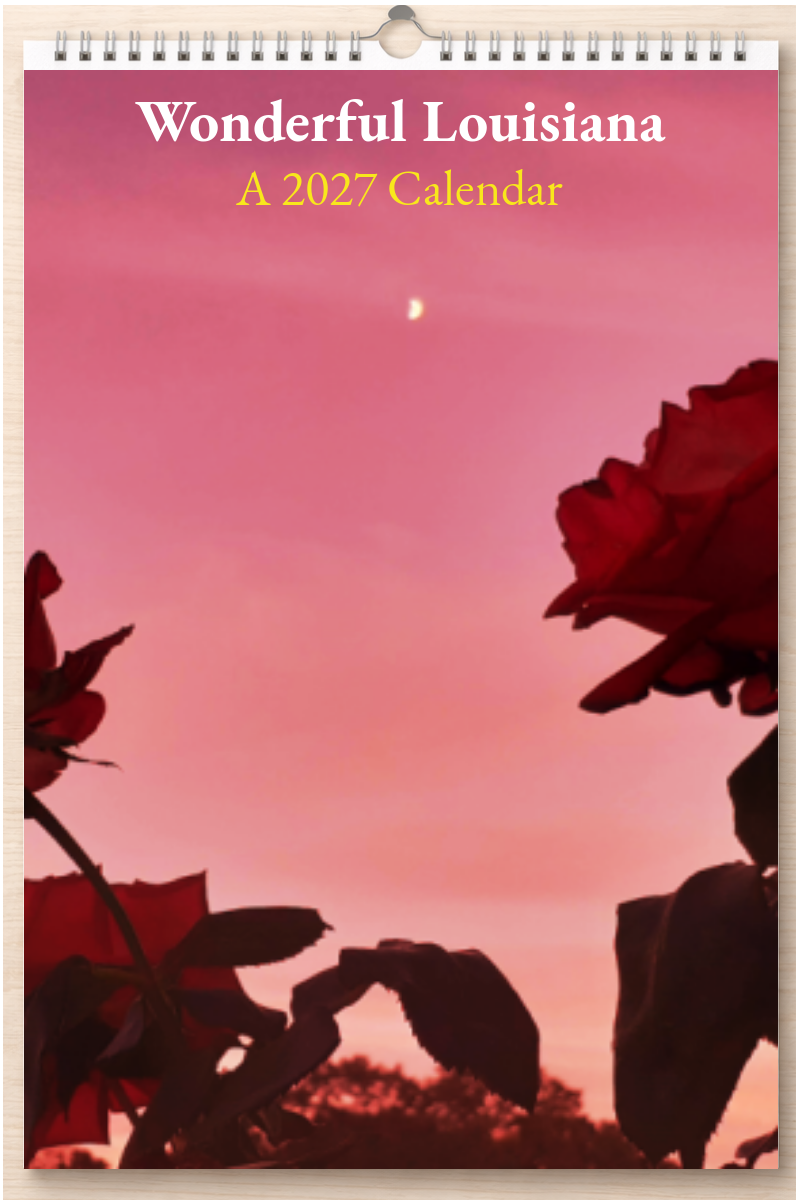 Wonderful Louisiana: A 2027 Calendar