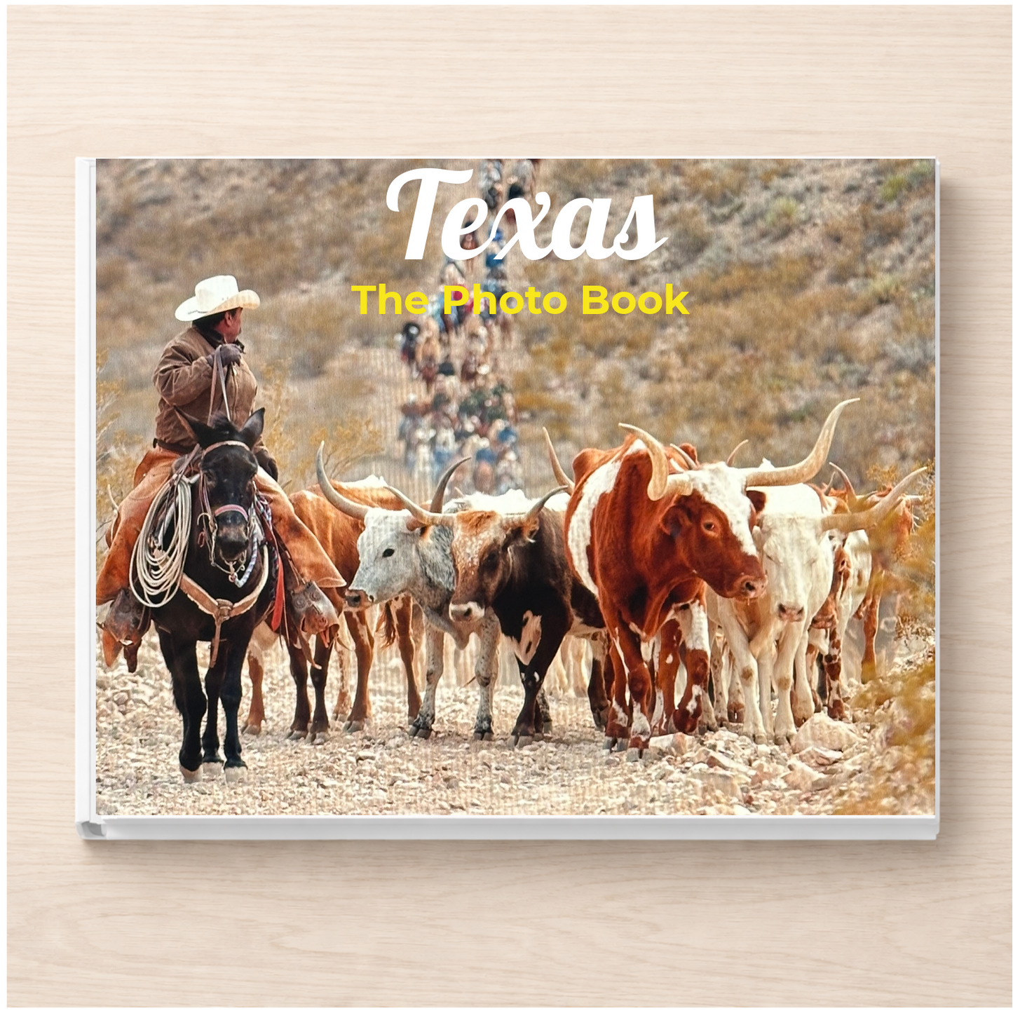 Texas: The Photo Book