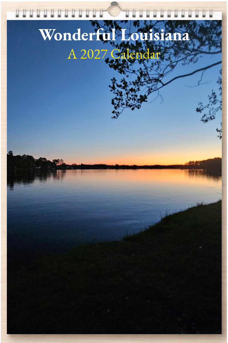 Wonderful Louisiana: A 2027 Calendar