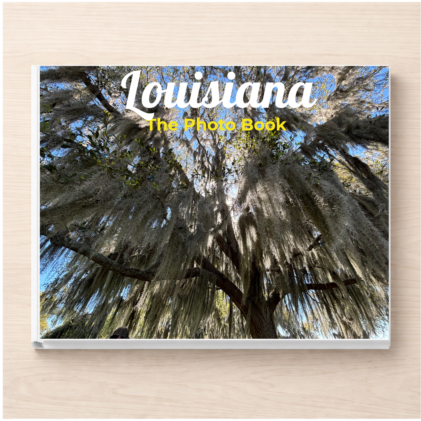 Louisiana: The Photo Book