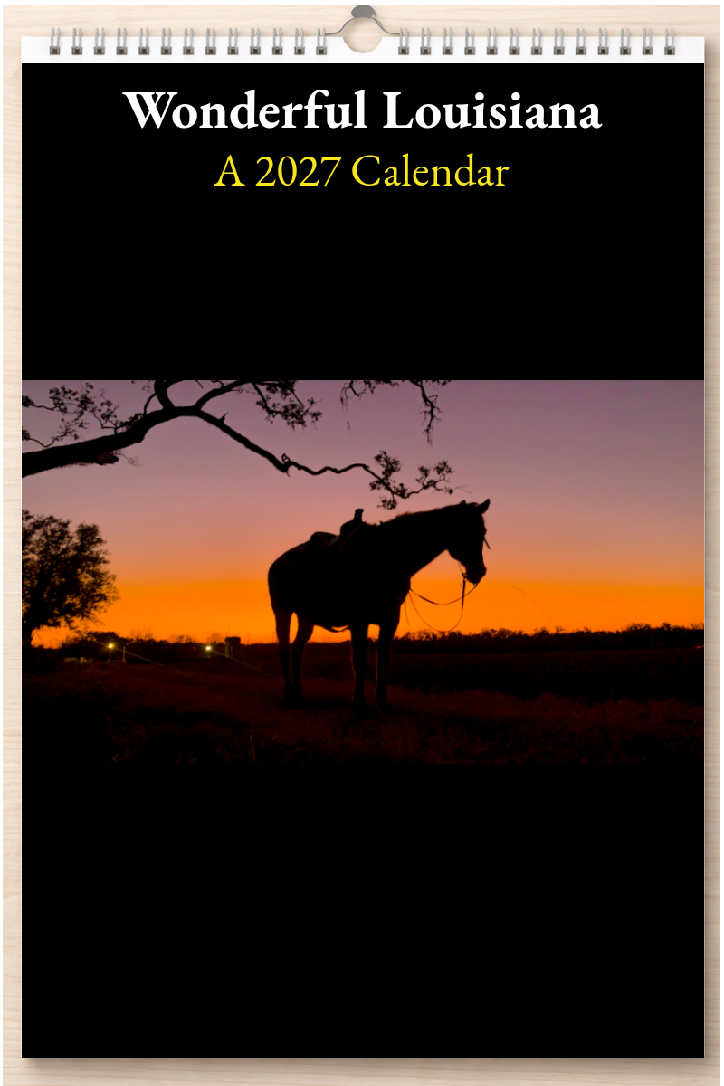 Wonderful Louisiana: A 2027 Calendar