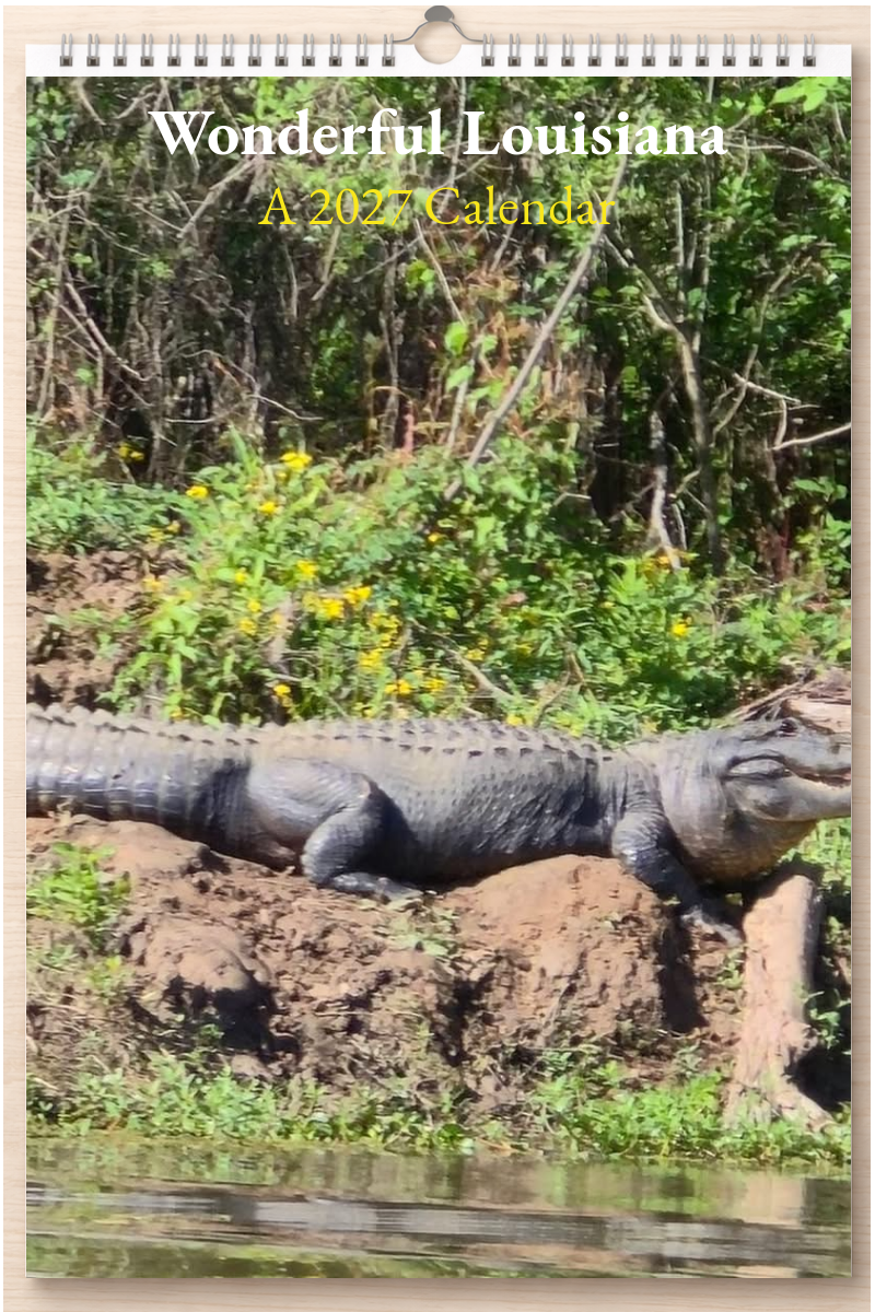 Wonderful Louisiana: A 2027 Calendar