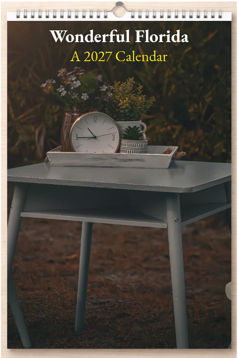 Wonderful Florida: A 2027 Calendar