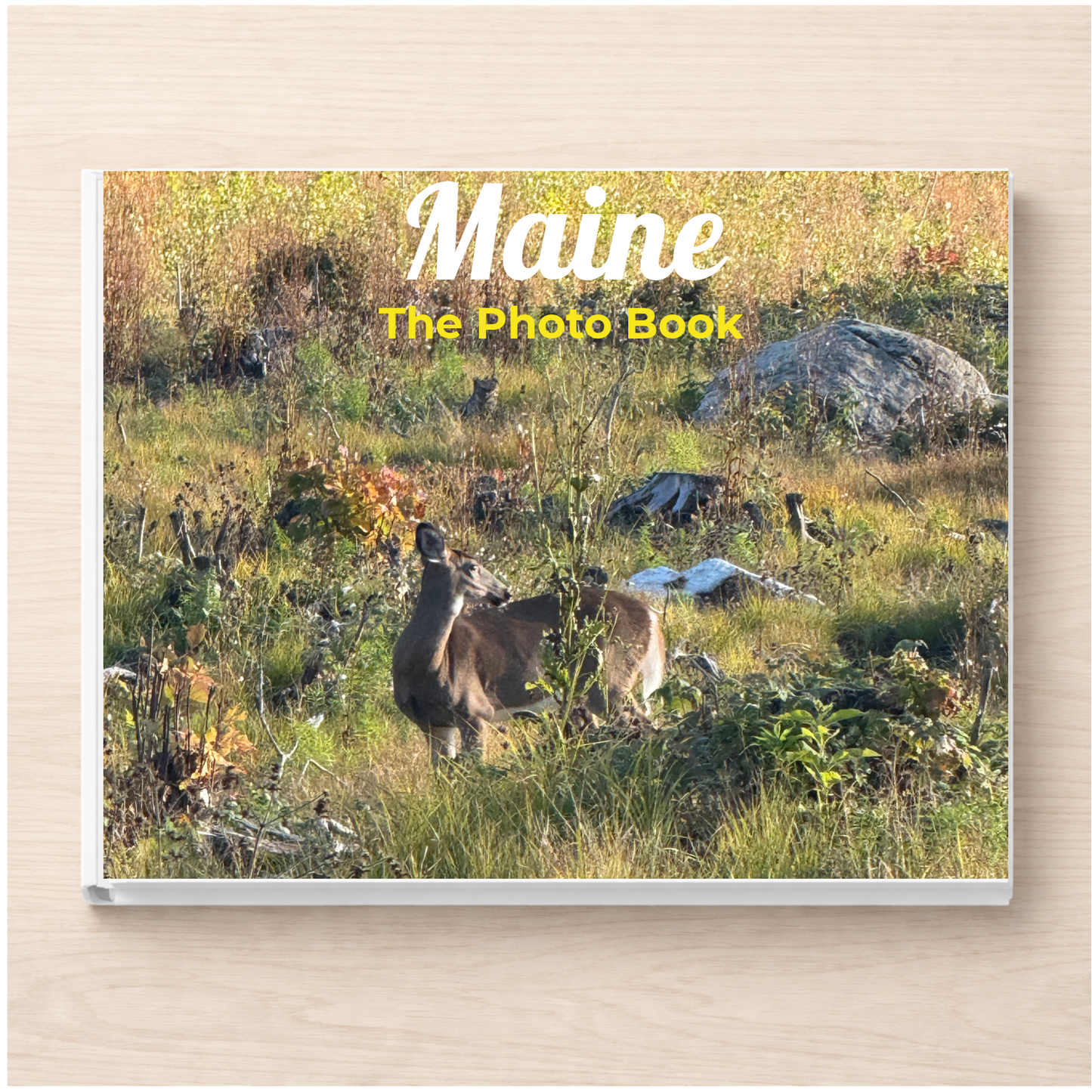 Maine: The Photo Book