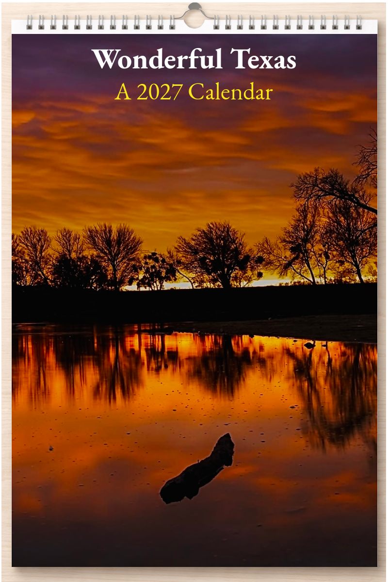 Wonderful Texas: A 2027 Calendar