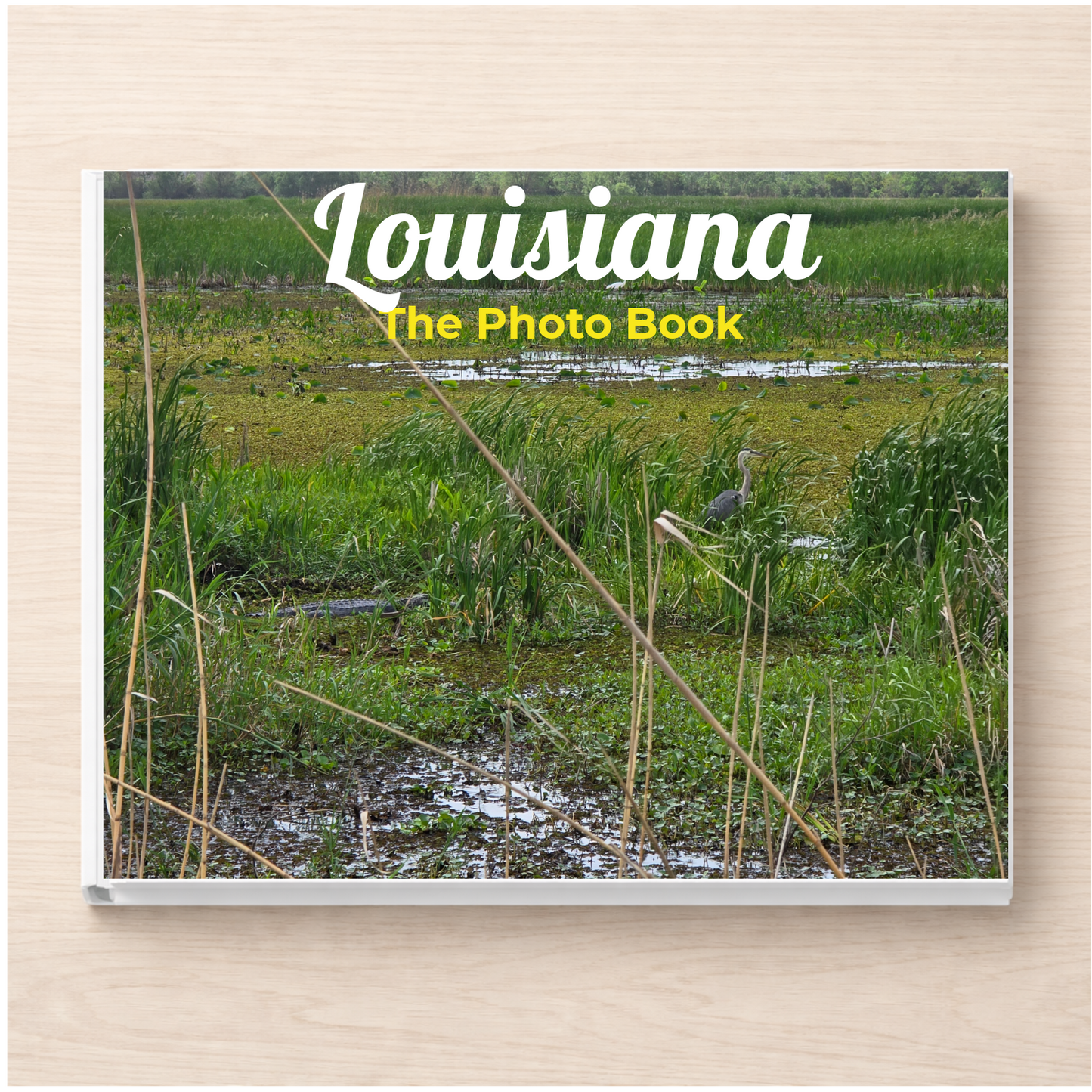 Louisiana: The Photo Book
