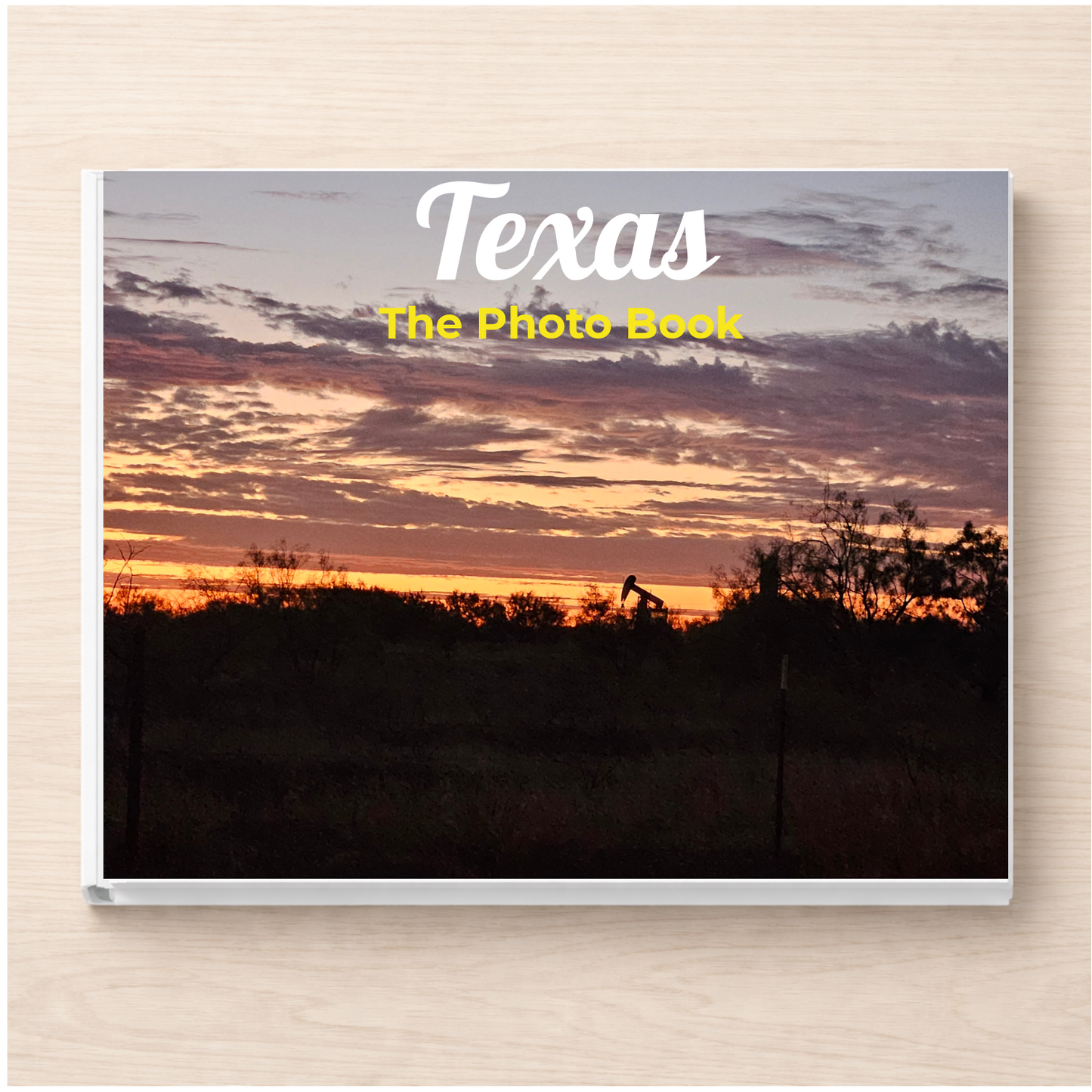 Texas: The Photo Book