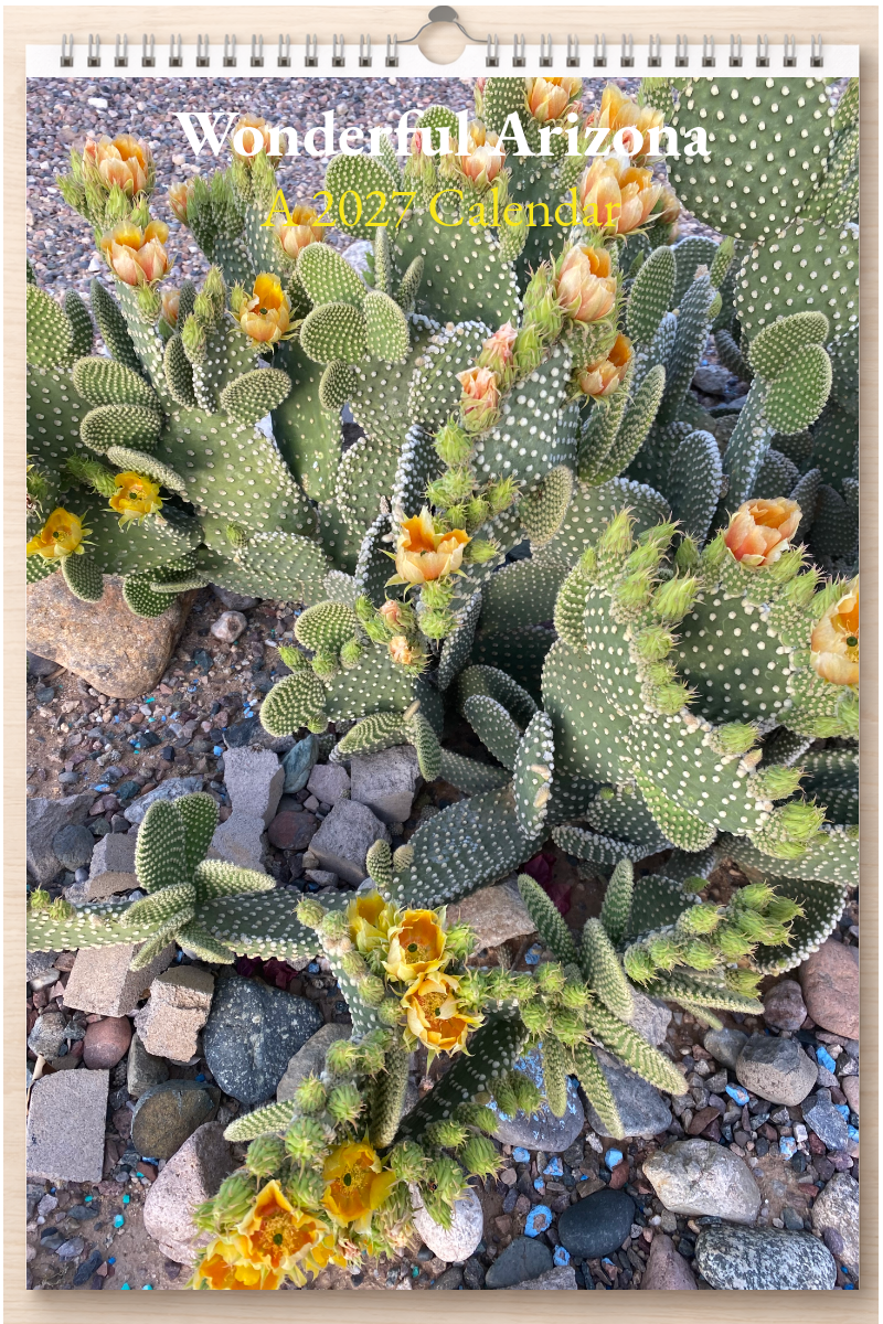 Wonderful Arizona: A 2027 Calendar