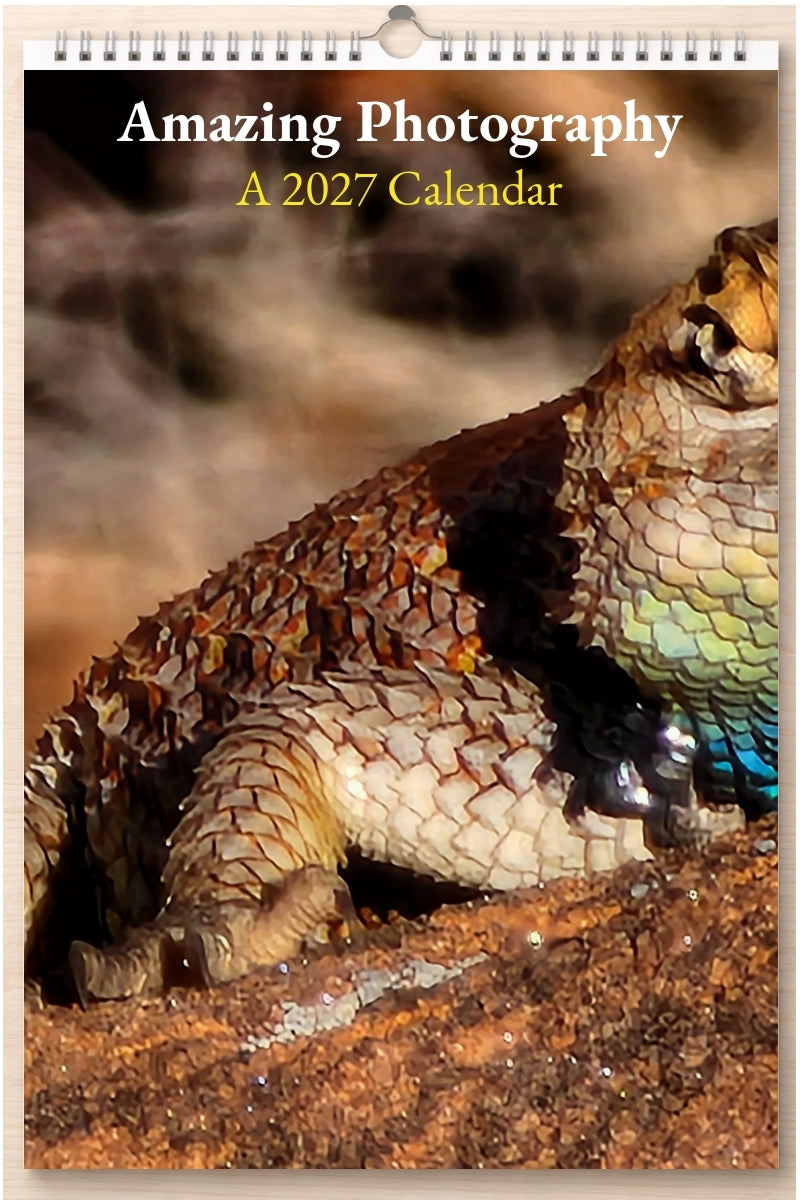 Amazing Photography: A 2027 Calendar