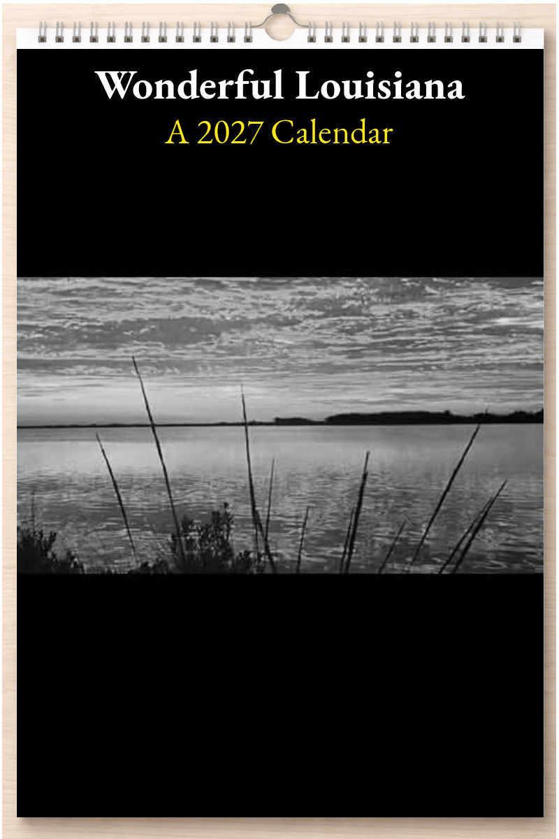 Wonderful Louisiana: A 2027 Calendar