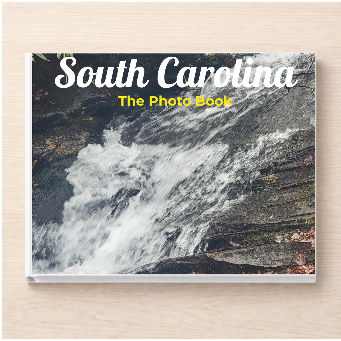 South Carolina: The Photo Book