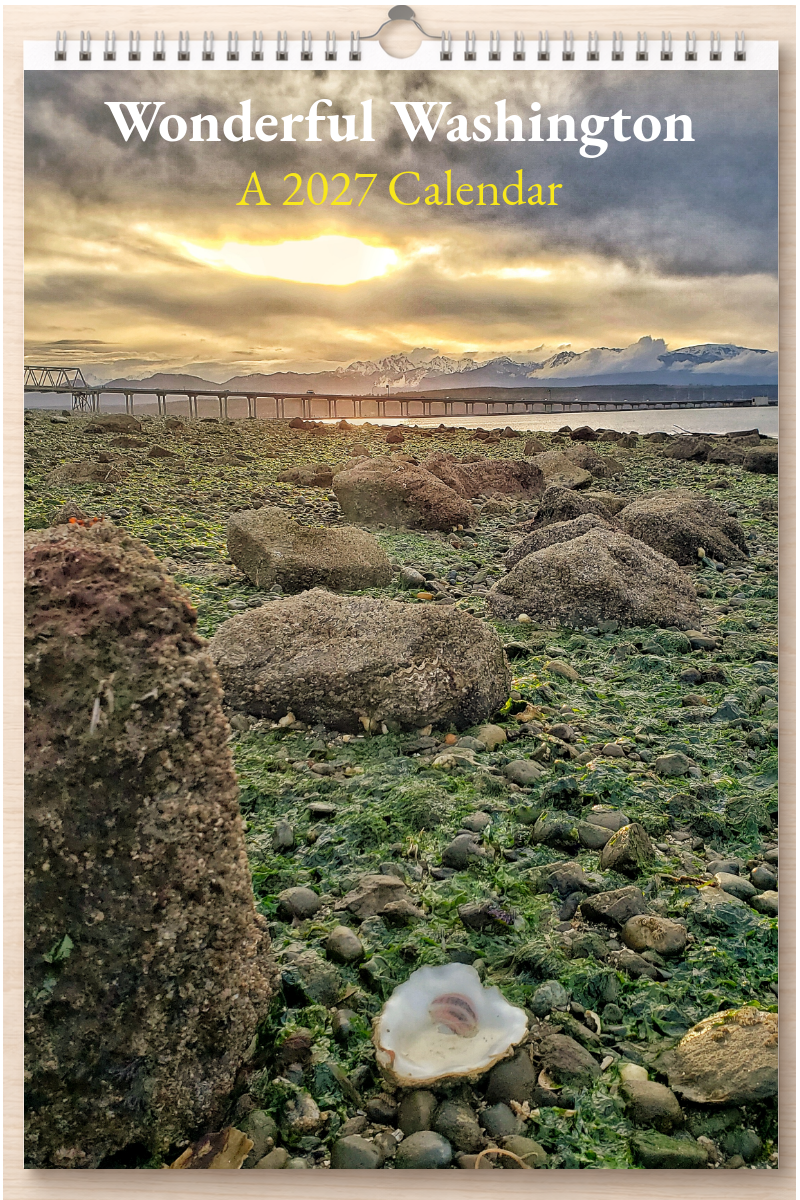 Wonderful Washington: A 2027 Calendar