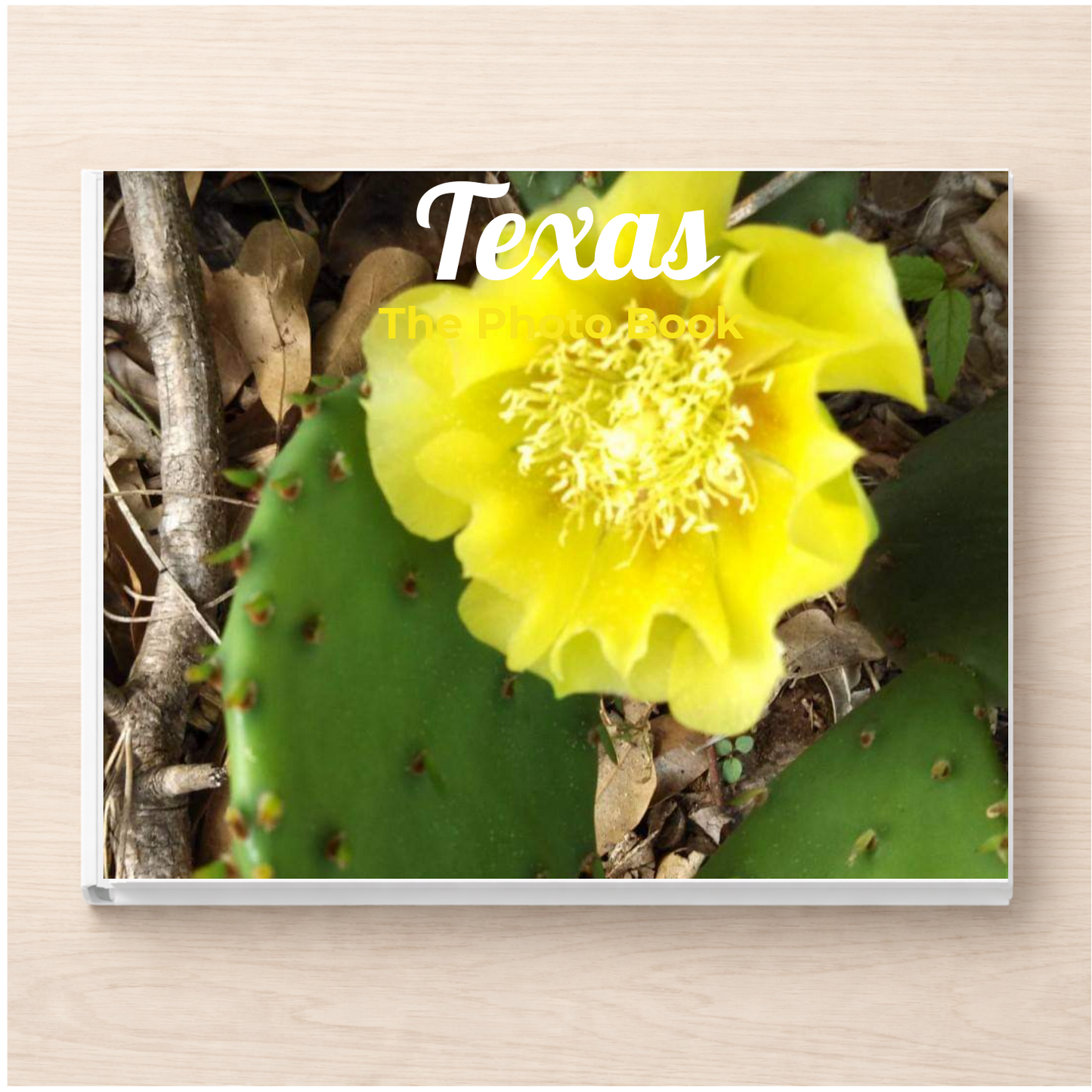 Texas: The Photo Book
