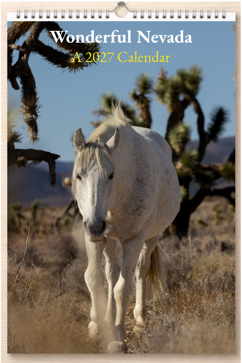 Wonderful Nevada: A 2027 Calendar