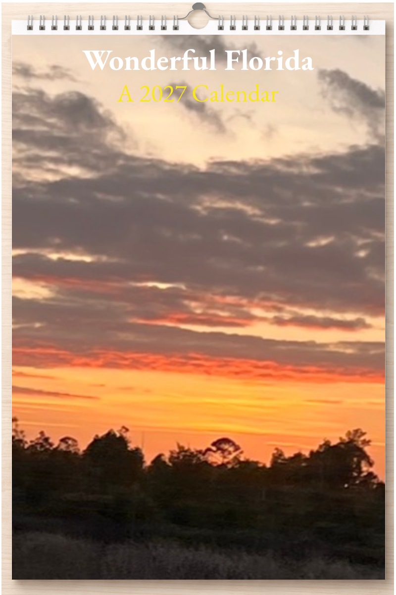 Wonderful Florida: A 2027 Calendar